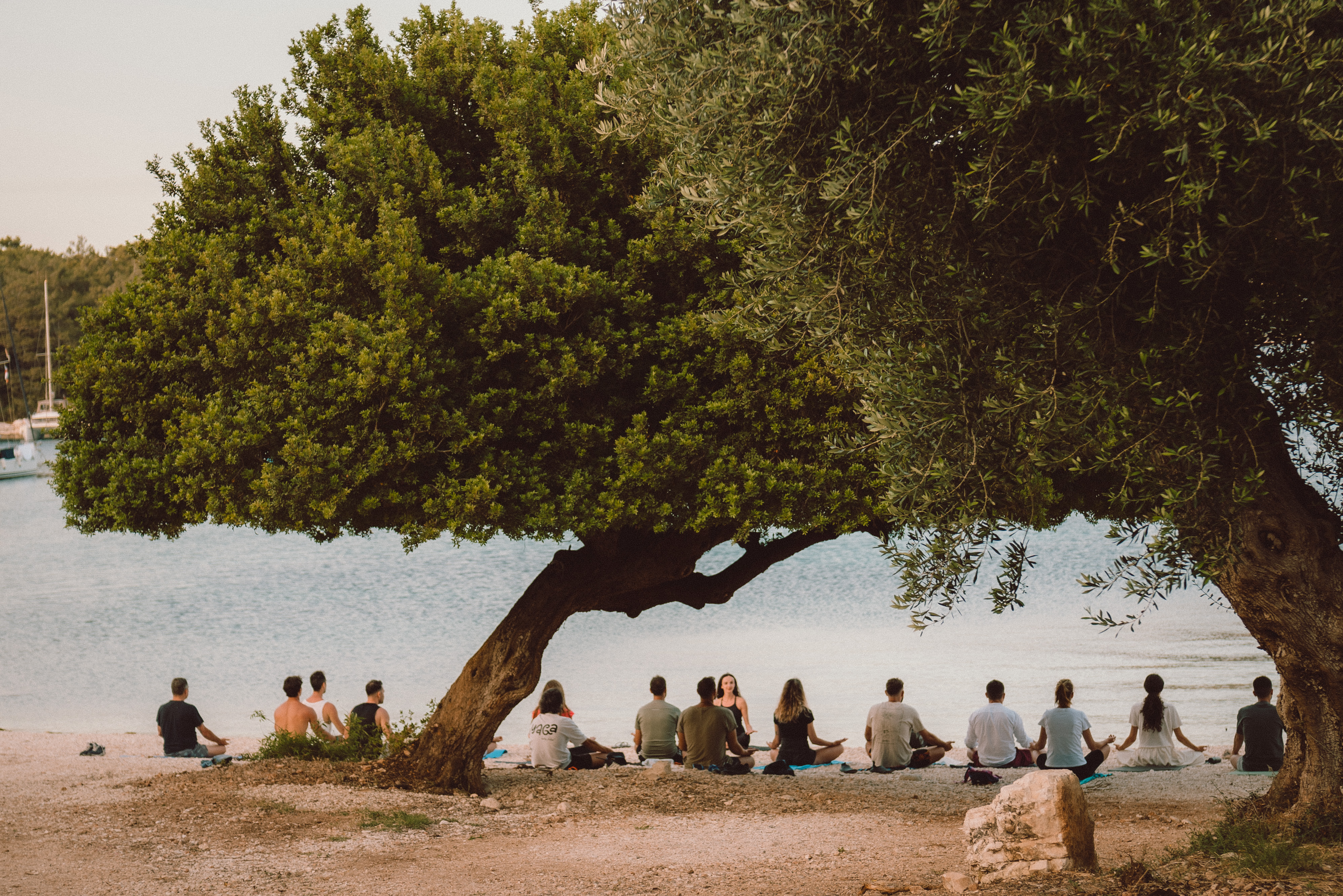 Beach Yoga Session - Group meditation under an olive tree by the sea at sunset